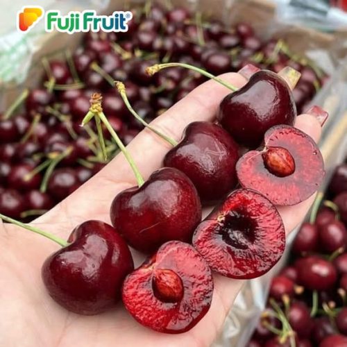 485182426_645107011608632_989328709682497621_n