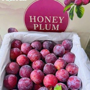 579604479_1329971542476421_5090962153164836628_n