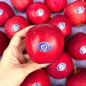 655758659_1475316184317435_2070041422757683549_n