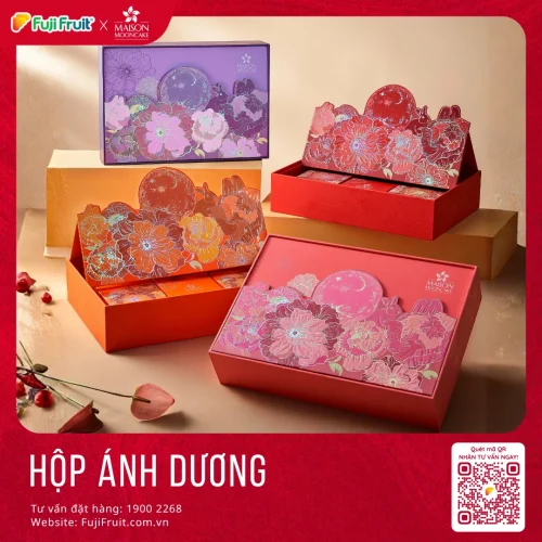 ÁNH DƯƠNG 480