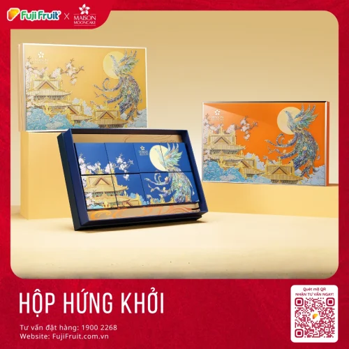 HỨNG KHỞI 650