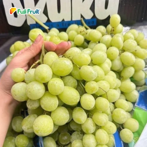 Nho xanh Okuku Úc