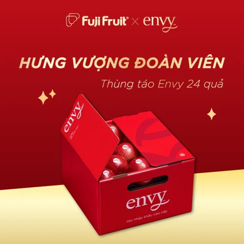 Post bst envy tết 29_12-07