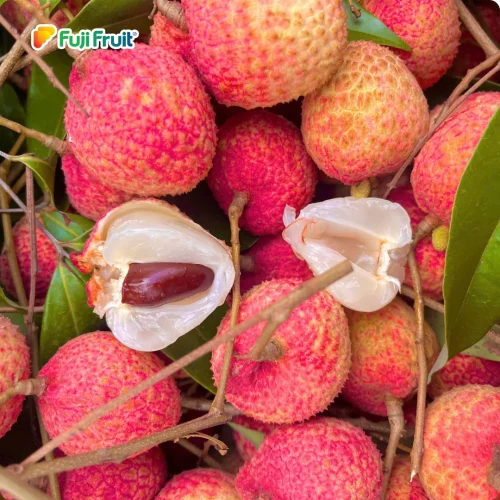 Post vải u trứng 12_5