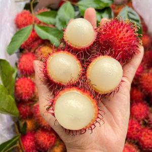 Thiết kế chưa có tên