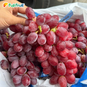 Thiết kế chưa có tên