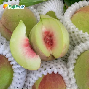 đào mỏ quạ 1