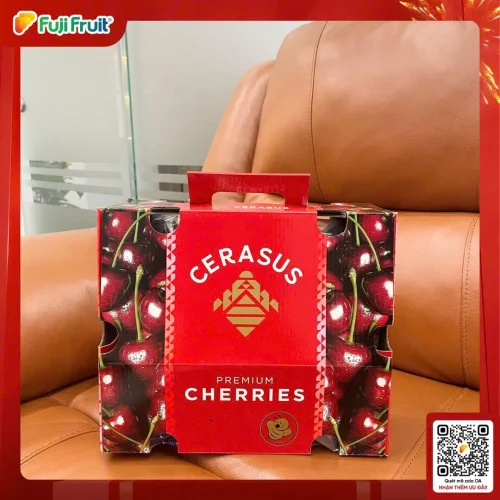 hxmhfpfwwdbc8nplaard