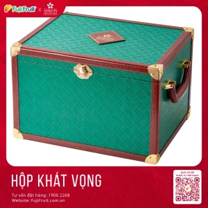 khát vọng 2500