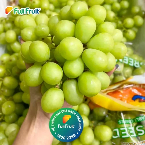 nho xanh Mỹ