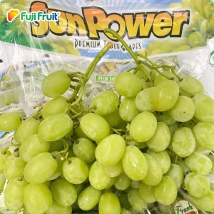 nho xanh sunpower Mỹ