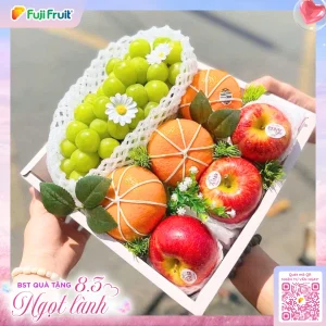 oe2wzo7pl0aeqfcxoblt