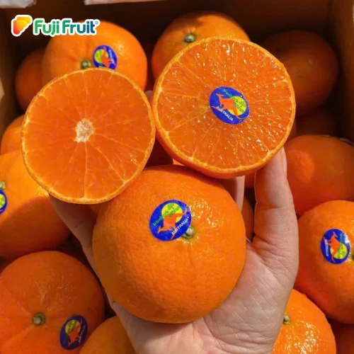 quýt Úc