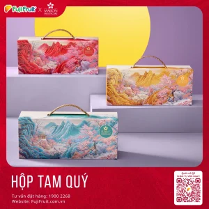 tam quý 250
